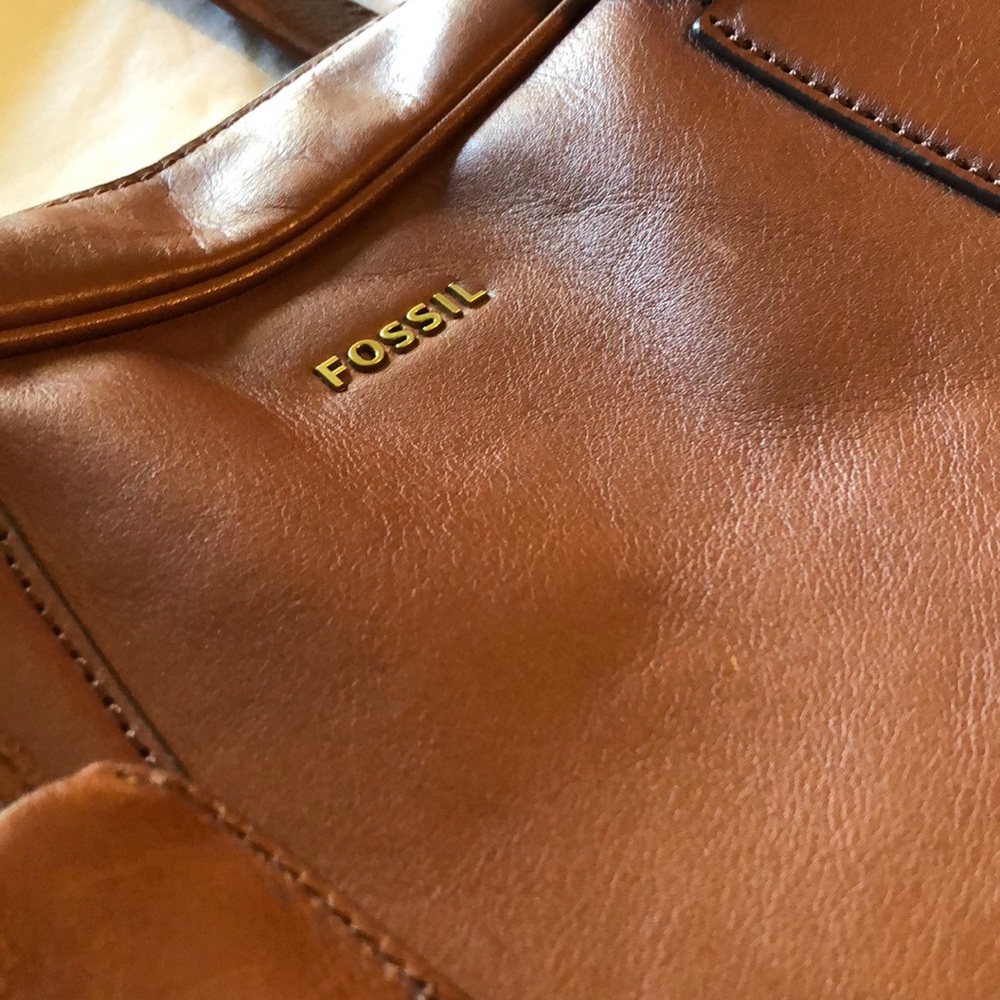 Fossil bag